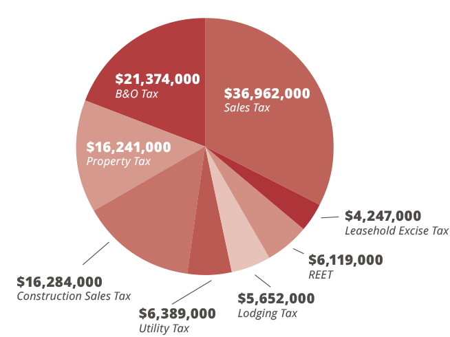 Pie chart showcasing the tax revenue to state and local governments